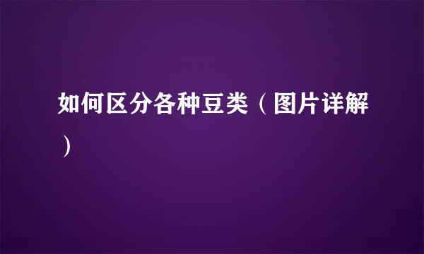 如何区分各种豆类（图片详解）