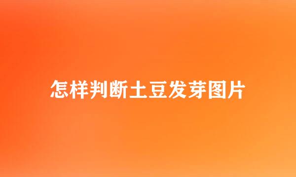 怎样判断土豆发芽图片