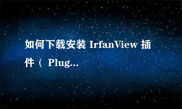 如何下载安装 IrfanView 插件（ PlugIns ）