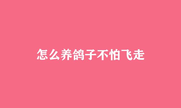 怎么养鸽子不怕飞走