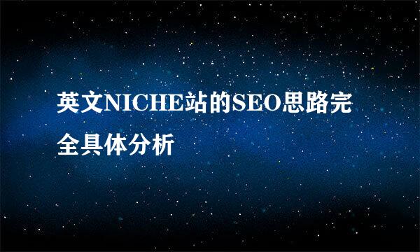 英文NICHE站的SEO思路完全具体分析