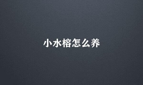 小水榕怎么养