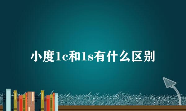小度1c和1s有什么区别