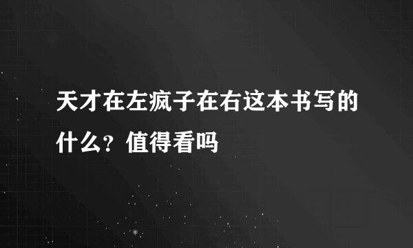 天才在左疯子在右这本书写的什么？值得看吗