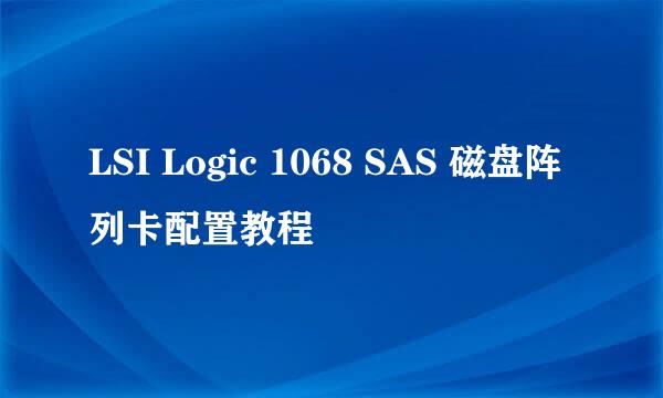 LSI Logic 1068 SAS 磁盘阵列卡配置教程