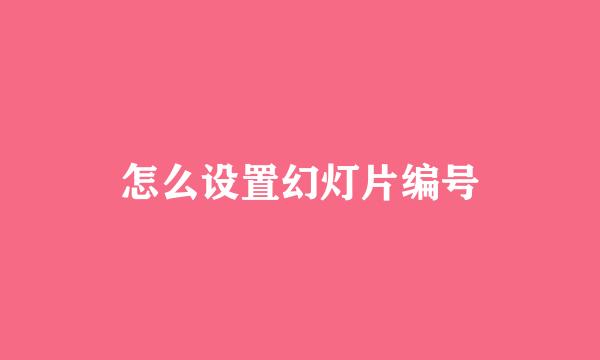 怎么设置幻灯片编号