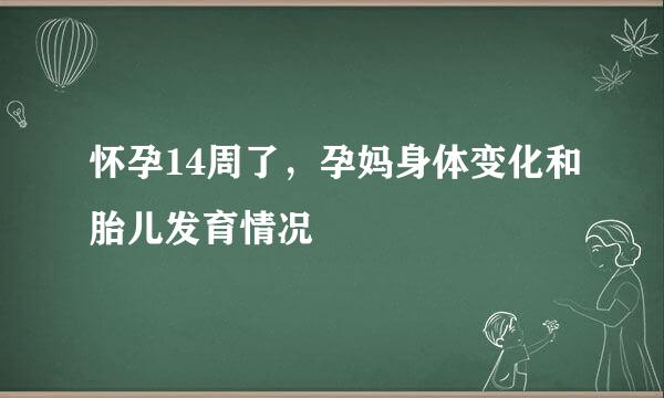 怀孕14周了，孕妈身体变化和胎儿发育情况
