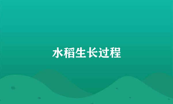 水稻生长过程