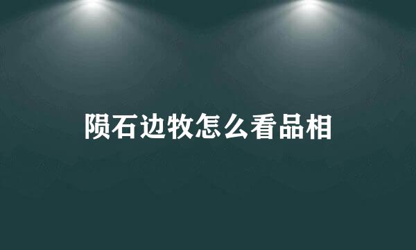陨石边牧怎么看品相