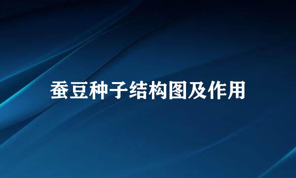 蚕豆种子结构图及作用