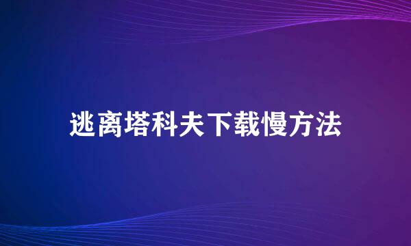 逃离塔科夫下载慢方法