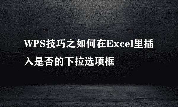WPS技巧之如何在Excel里插入是否的下拉选项框