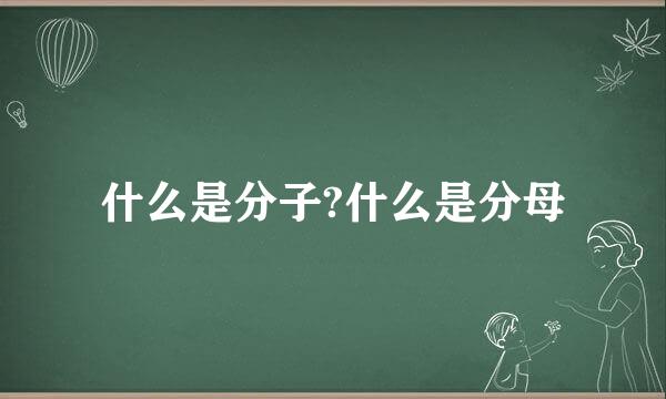 什么是分子?什么是分母