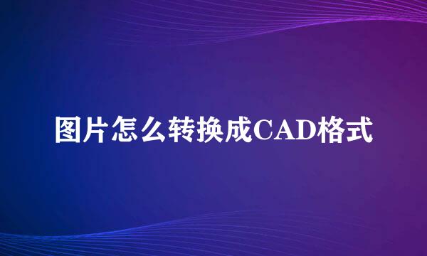 图片怎么转换成CAD格式