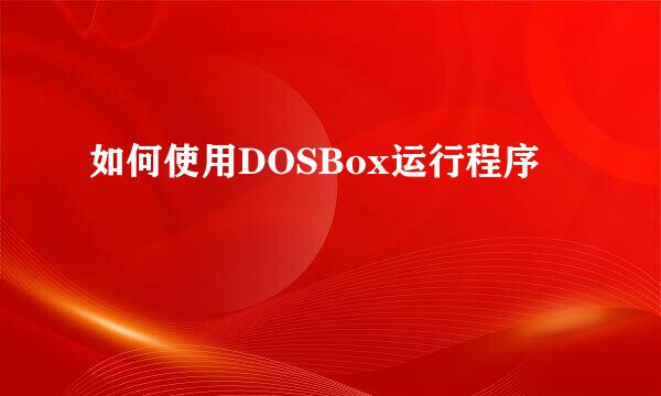 如何使用DOSBox运行程序