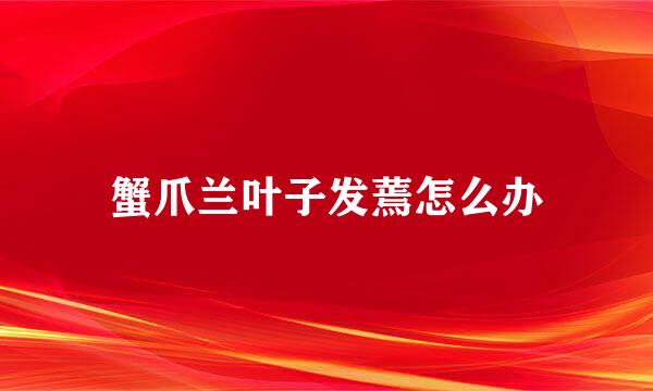 蟹爪兰叶子发蔫怎么办