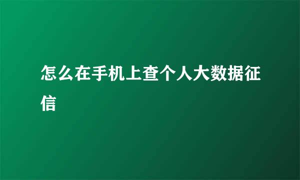 怎么在手机上查个人大数据征信