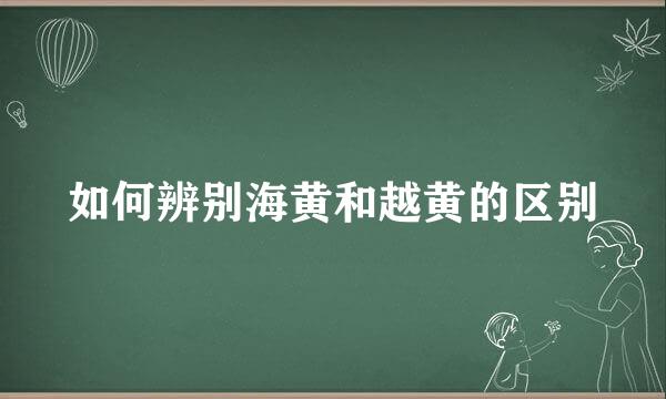 如何辨别海黄和越黄的区别
