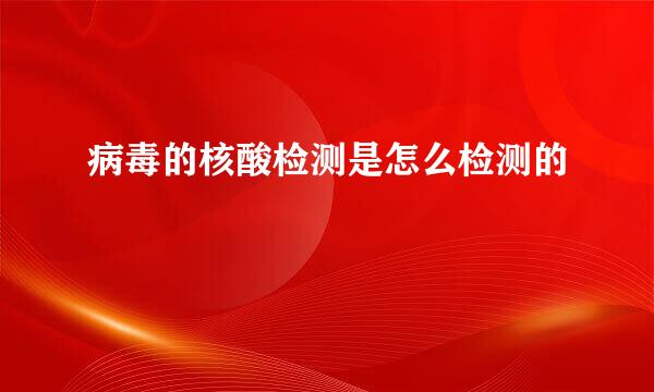 病毒的核酸检测是怎么检测的