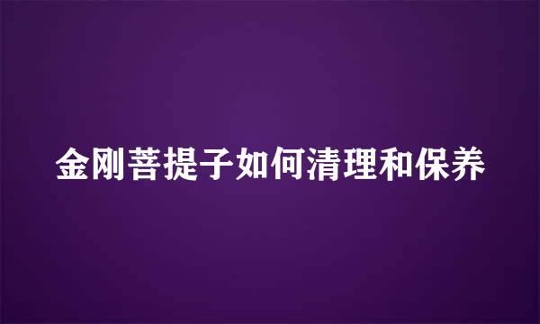 金刚菩提子如何清理和保养