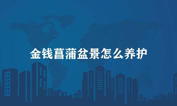 金钱菖蒲盆景怎么养护
