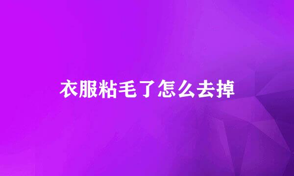 衣服粘毛了怎么去掉