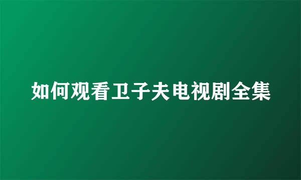 如何观看卫子夫电视剧全集