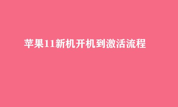 苹果11新机开机到激活流程