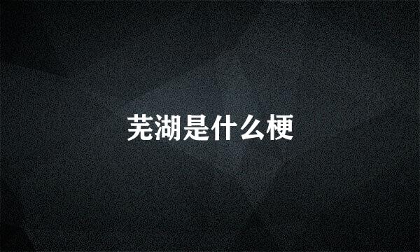 芜湖是什么梗