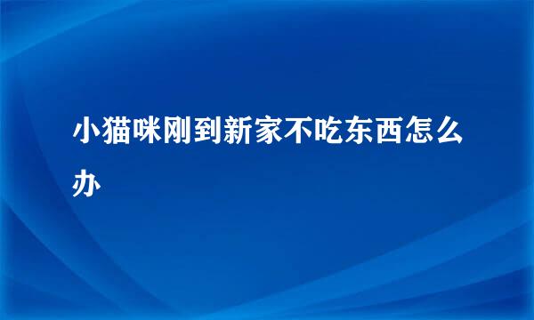 小猫咪刚到新家不吃东西怎么办