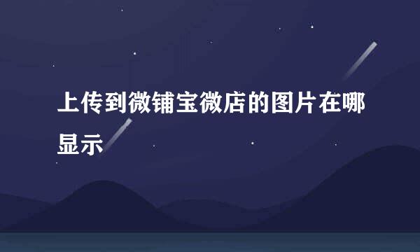 上传到微铺宝微店的图片在哪显示