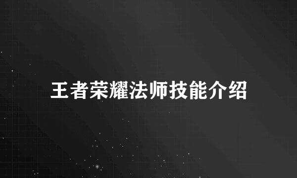王者荣耀法师技能介绍