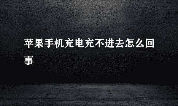 苹果手机充电充不进去怎么回事