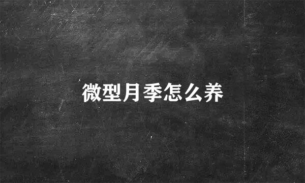 微型月季怎么养