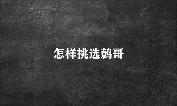 怎样挑选鹩哥