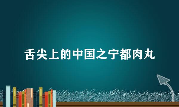 舌尖上的中国之宁都肉丸
