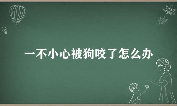 一不小心被狗咬了怎么办