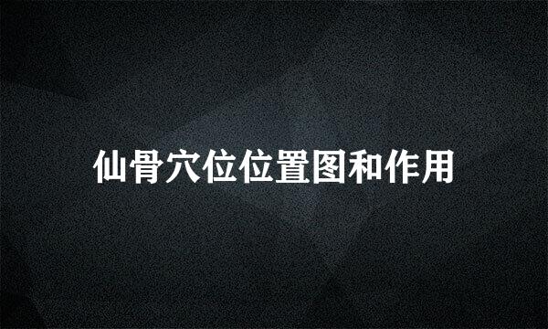 仙骨穴位位置图和作用