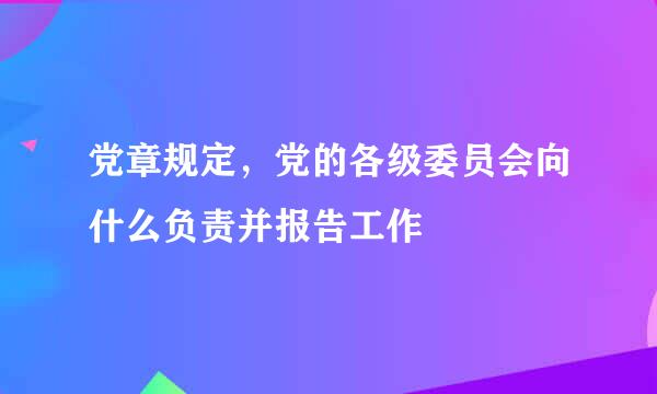 党章规定，党的各级委员会向什么负责并报告工作