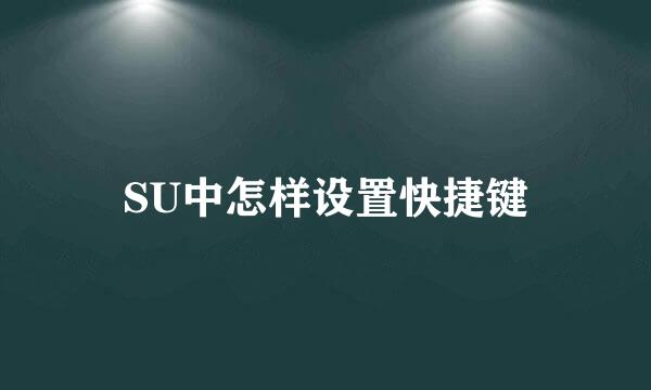 SU中怎样设置快捷键