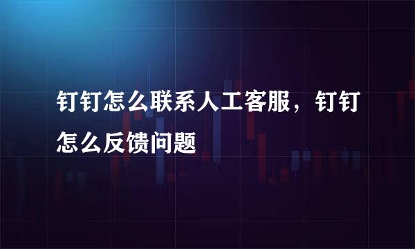 钉钉怎么联系人工客服，钉钉怎么反馈问题
