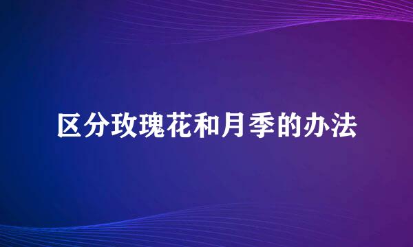 区分玫瑰花和月季的办法
