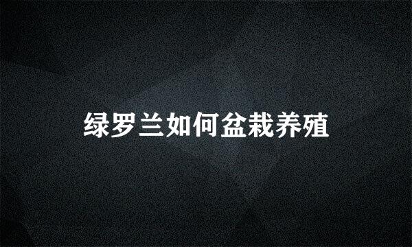 绿罗兰如何盆栽养殖