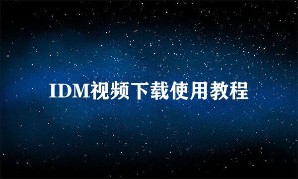 IDM视频下载使用教程