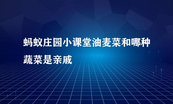 蚂蚁庄园小课堂油麦菜和哪种蔬菜是亲戚