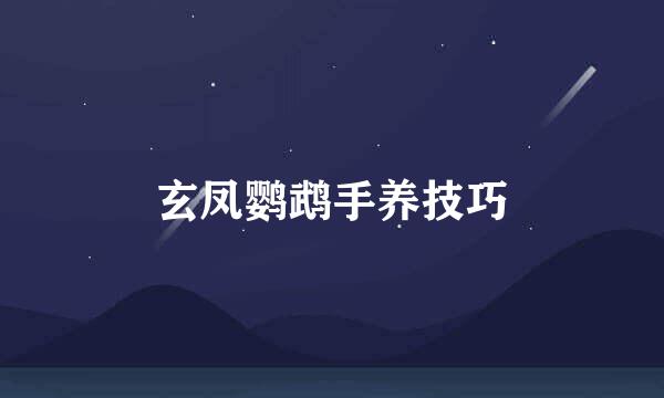玄凤鹦鹉手养技巧