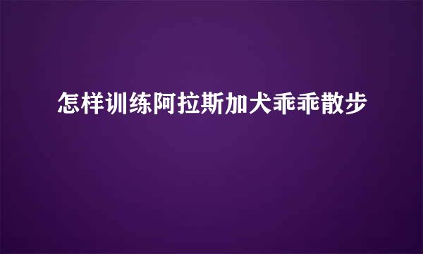 怎样训练阿拉斯加犬乖乖散步