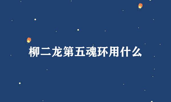 柳二龙第五魂环用什么