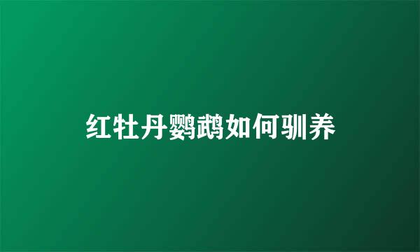 红牡丹鹦鹉如何驯养
