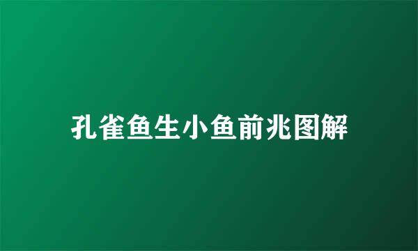 孔雀鱼生小鱼前兆图解